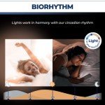 4-Pack WiFi Smart Light Bulbs with Color Change