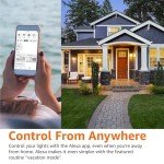 Smart A19 LED Light Bulb, Works with Alexa