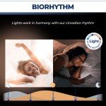 Smart Candelabra LED Bulbs with Alexa/Google Assistant