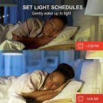 Smart WiFi Color Changing Light Bulbs - Set of 4