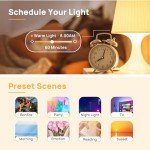 Smart RGBTW WiFi Light Bulbs - 4 Pack