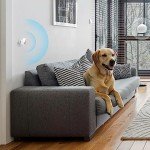 TP-Link Tapo Motion Sensor with Smart Action