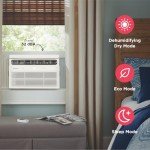 Frigidaire 5,000 BTU Remote Window AC Unit