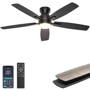 Modern 52'' Ceiling Fan with Lights & Remote
