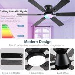 Smart RGB Ceiling Fan with Remote Control