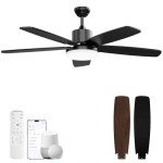 Smart 52-Inch Ceiling Fan with Lights and Remote
