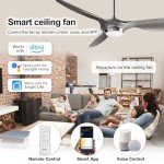 Reiga 52" Smart WiFi Ceiling Fan with Light