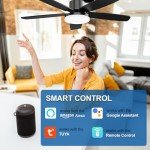 Smart 52-Inch Ceiling Fan with Lights and Remote