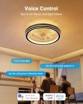 Smart Ceiling Fan Light with WiFi & Bluetooth