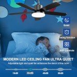 Smart 52-Inch Ceiling Fan with Lights and Remote