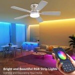 RGB Dimmable Ceiling Fan with Remote Control