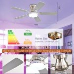 RGB Dimmable Ceiling Fan with Remote Control