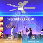 RGB Dimmable Ceiling Fan with Remote Control