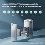 Blueair 2-in-1 Air Purifier and Humidifier