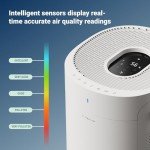 Blueair 2-in-1 Air Purifier and Humidifier