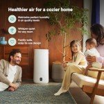 Blueair 2-in-1 Air Purifier and Humidifier