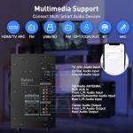 Bobtot 800W Surround Sound Home Theater System