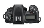 Nikon D7500 DX Digital SLR Camera Body