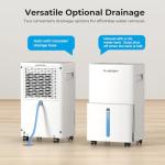 500 Sq. Ft. Smart Dehumidifier with Drain Hose