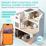Smart 65 Pint Dehumidifier with WiFi Control