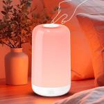Rechargeable Smart Touch Multi-Color Table Lamp