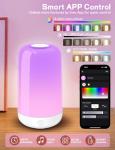 Rechargeable Smart Touch Multi-Color Table Lamp