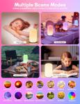 Rechargeable Smart Touch Multi-Color Table Lamp