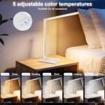 White Crown Dimmable LED Desk Lamp with USB Port