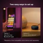 Philips Hue Iris Smart Lamp - Color-Changing LED