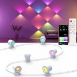 RGB+CW Smart Wall Sconces with Voice Control