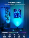 SUNVIE Smart RGBW Floor Can Light 2 Pack