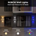 Smart LED Outdoor Wall Lights with Wi-Fi Control