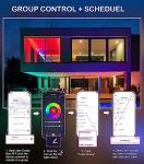 Smart WiFi LED Wall Sconce with Color Change