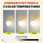 Rechargeable LED Wall Sconce with App Control