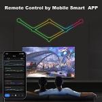 WiFi RGB LED Wall Light for Home Decor