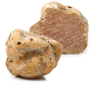 Fresh White Truffles - 1 oz (28g) by Taste of Truffles