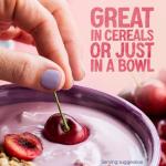 Alpro Blueberry Cherry Plant-Based Yoghurt Alternative