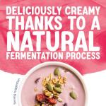Alpro Blueberry Cherry Plant-Based Yoghurt Alternative