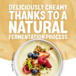 Alpro Vanilla Vegan Soya Yogurt, 500g