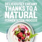 Alpro Coconut Plant-Based Yoghurt, 500g