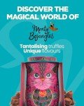 Midnight Prince Vegan Cocoa Dusted Truffles Tin