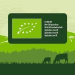 Organic Free Range Eggs, Mixed Sizes, 12 Pack