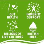 Biotiful Original Kefir Drink for Gut Health