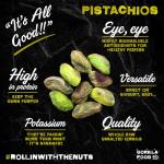 Gorilla Food Co. Natural Pistachio Nuts | Whole | Raw | Unsalted | Shelled - 400g