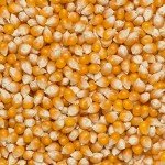 Wholefood Earth Popping Corn 3 kg | GMO Free | Natural |