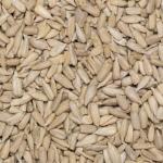 Organic Raw Sunflower Seeds 1kg – Vegan & Protein-rich