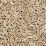 Sunflower Seeds 1 kg | GMO Free | Natural