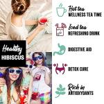 Organic Hibiscus Tea Bags - 50 Count