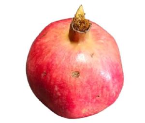 Fresh Pomegranate Fruits, 6 Whole Pomegranates