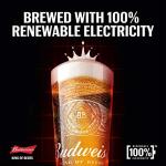 Budweiser Lager Beer, 10 Cans, 440ml Each